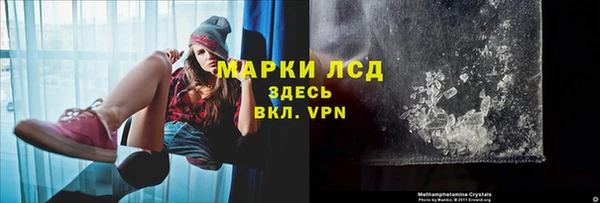 дживик Каменногорск