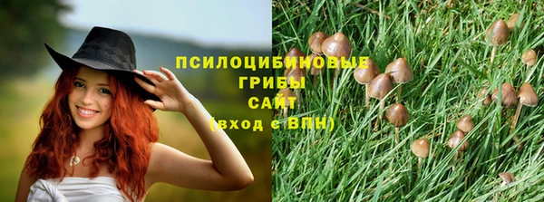 соль курить ск Каменка