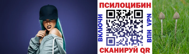Псилоцибиновые грибы MAGIC MUSHROOMS  купить  сайты  mega tor  Обнинск 